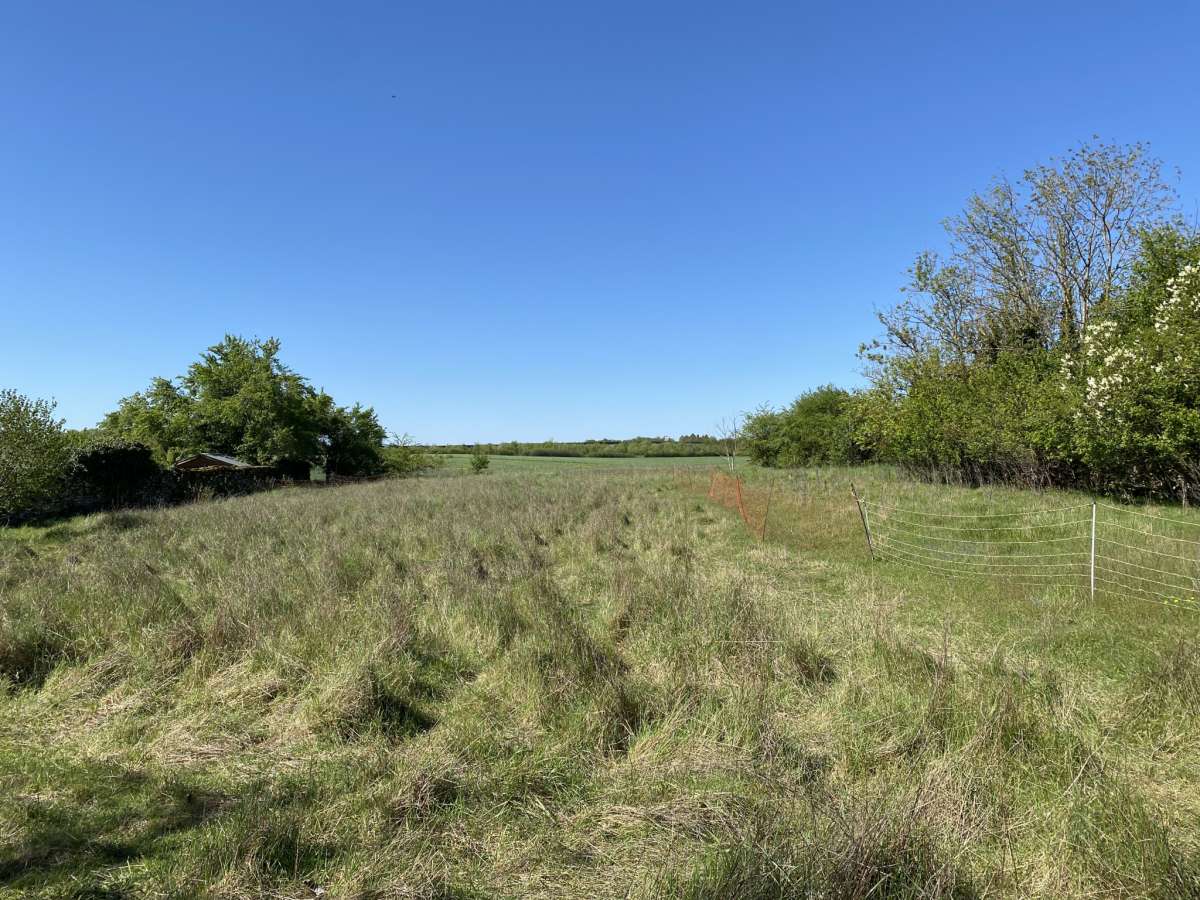 Maison - ROSIERES EN HAYE