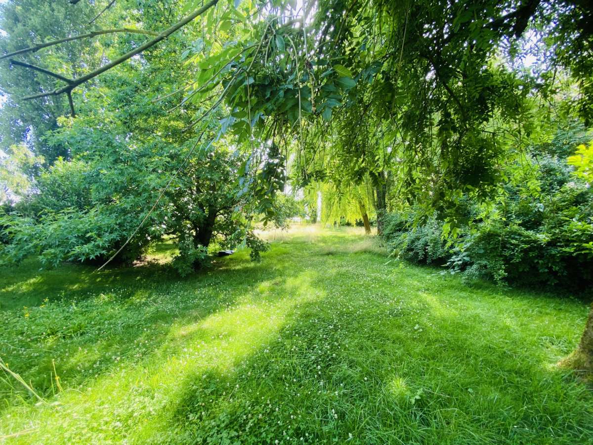Lunéville   Maison familiale au calme avec grand terrain arboré
