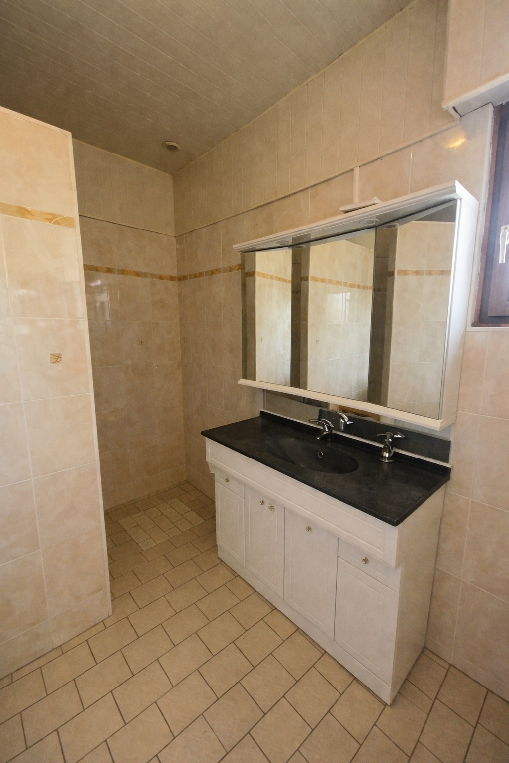 Appartement F4 - BELLEVILLE*